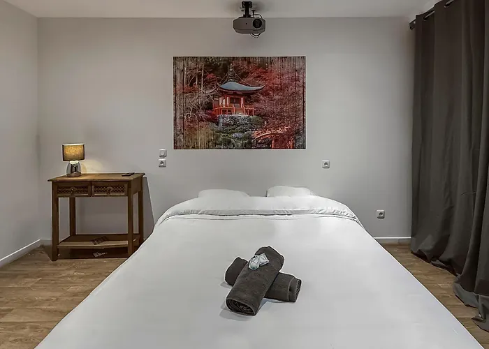 Appartement T2 Lumineux N1 Avec Jacuzzi&vidéo