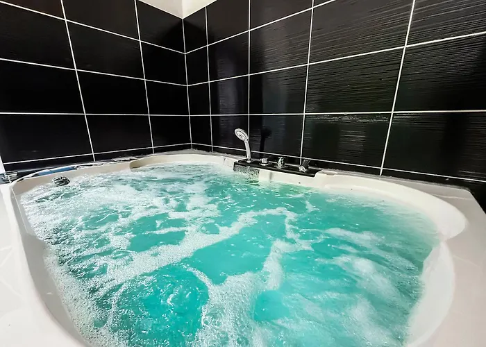 T2 Lumineux N1 Avec Jacuzzi&vidéo Appartement *